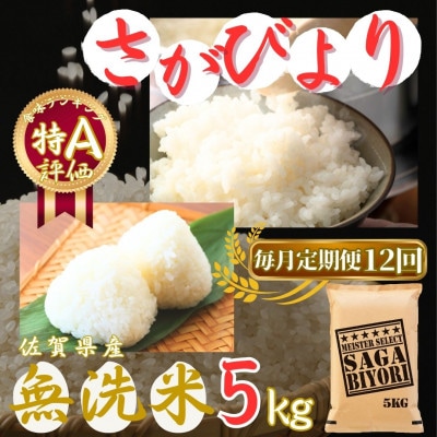 【毎月定期便】【無洗米】さがびより 5kg 《マイスターセレクト》(伊万里市)全12回