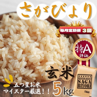 【毎月定期便】【玄米】さがびより5kg【特A評価】《マイスターセレクト》(伊万里市)全3回