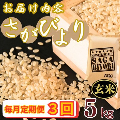 【毎月定期便】【玄米】さがびより5kg【特A評価】《マイスターセレクト》(伊万里市)全3回