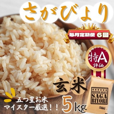 【毎月定期便】【玄米】さがびより5kg【特A評価】《マイスターセレクト》(伊万里市)全6回