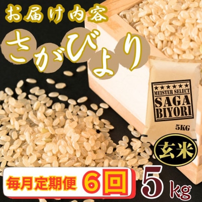 【毎月定期便】【玄米】さがびより5kg【特A評価】《マイスターセレクト》(伊万里市)全6回