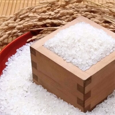2022年8月発送開始『定期便』特A米食べ比べ(白米) さがびより4kg夢しずく4kg全3回
