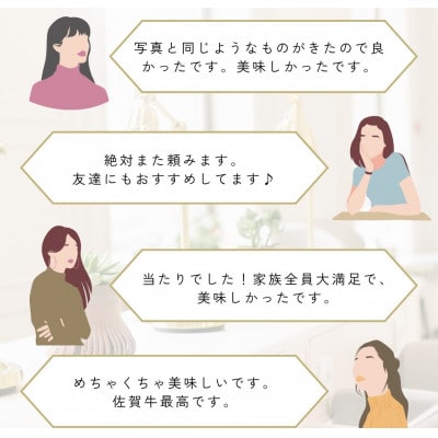 佐賀牛サーロイン　そのまま1本　15kg以上