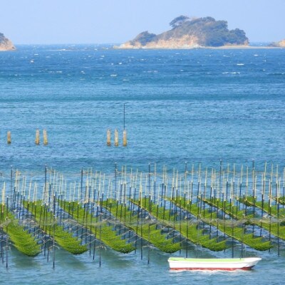 佐賀県産　全形有明海苔　大容量100枚【伊万里市】