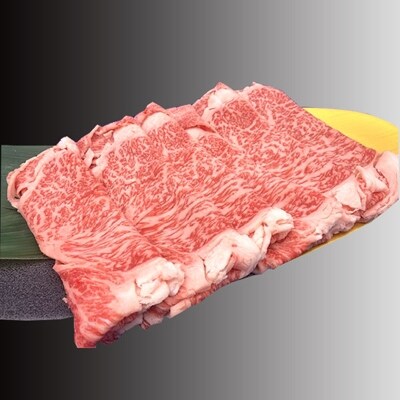 佐賀牛　肩ローススライス　500g　和牛 牛肉 肉 贈答【伊万里市】
