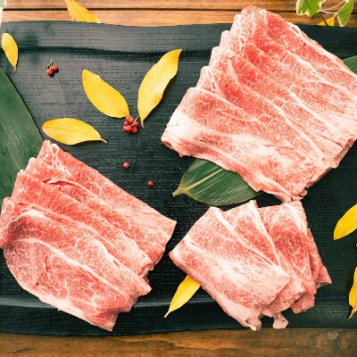 佐賀県産 黒毛和牛 佐賀牛 上ローススライス 500g 伊万里市 お礼品詳細 ふるさと納税なら さとふる