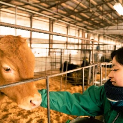 佐賀県産 黒毛和牛 佐賀牛 上ローススライス 500g(伊万里市)