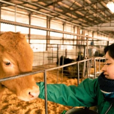 佐賀県産 黒毛和牛 佐賀牛 モモステーキ 300g(伊万里市)
