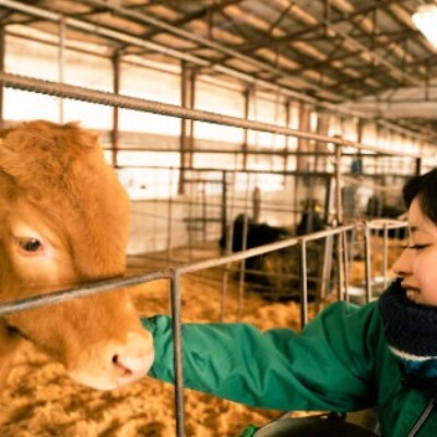 佐賀県産 黒毛和牛 佐賀牛 ひとくちステーキ 1000g(伊万里市)