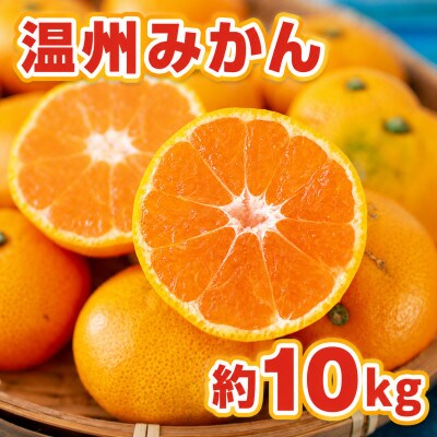 佐賀県産 温州みかん 約10kg