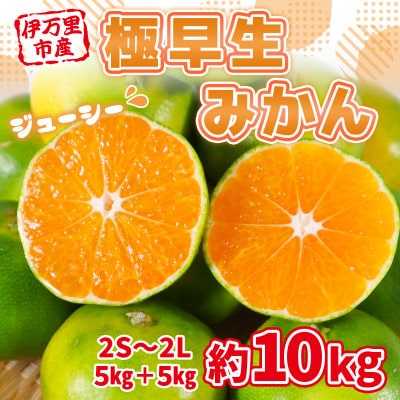 佐賀県産 極早生みかん 合計10kg(伊万里市)