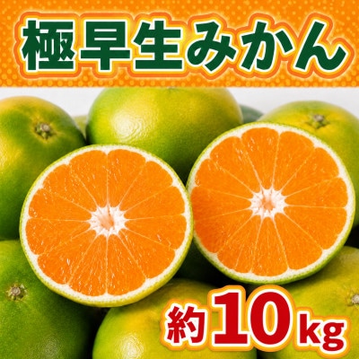 佐賀県産 極早生みかん 合計10kg(伊万里市)