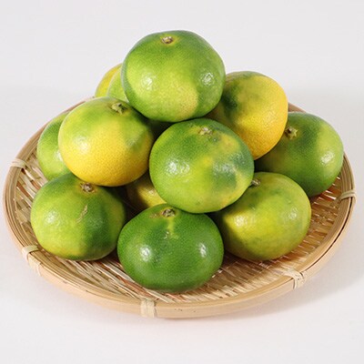 佐賀県産 極早生みかん 合計10kg(伊万里市)