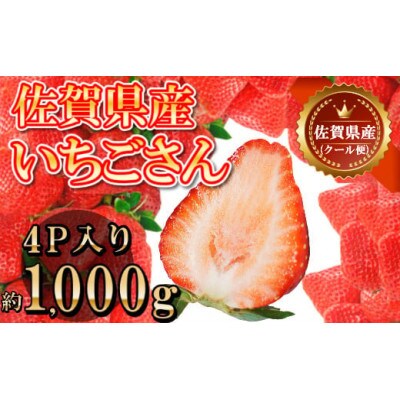 いちごさん 合計約1kg(約250g×4P)(伊万里市)