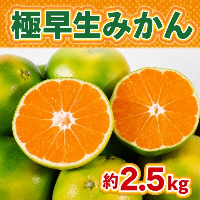 佐賀県産 極早生みかん 合計約2.5kg(伊万里市)