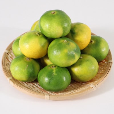 佐賀県産 極早生みかん 合計約2.5kg(伊万里市)