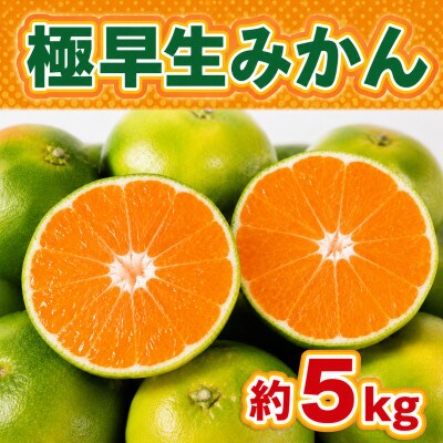 佐賀県産 極早生みかん 合計約5kg(伊万里市)