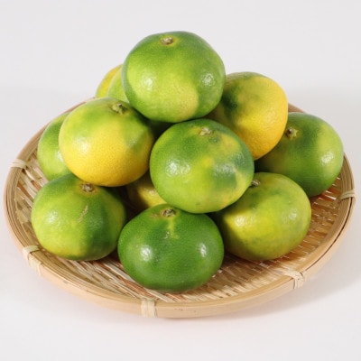 佐賀県産 極早生みかん 合計約5kg(伊万里市)