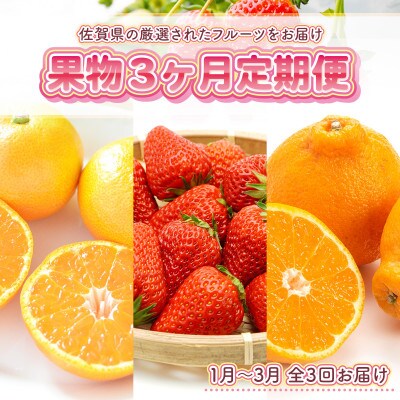 【発送月固定定期便】旬の果物　3か月定期便(伊万里市)全3回