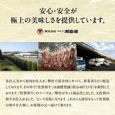 A5 A4 佐賀牛いろいろ切り落とし 150g×4 小分け(伊万里市)