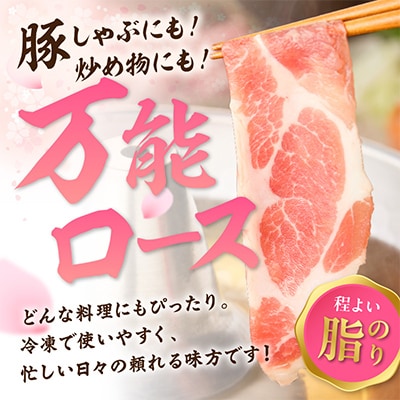 肥前さくらポーク　ローススライス約1300g(伊万里市)