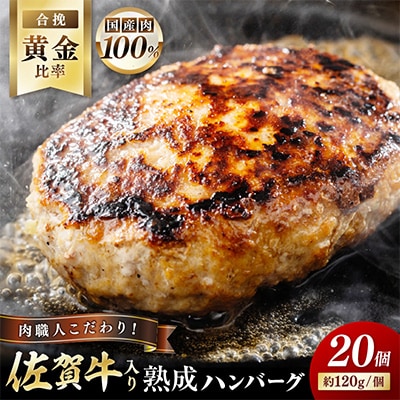 佐賀牛入り特製ハンバーグ(120g×20個)(伊万里市)
