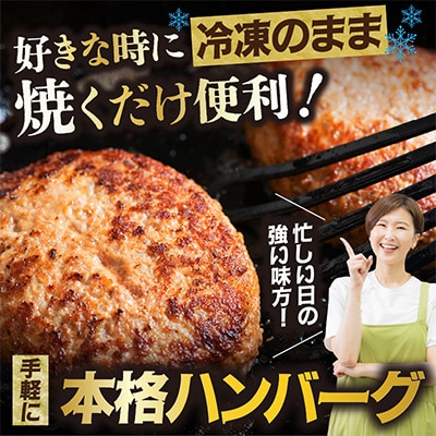 佐賀牛入り特製ハンバーグ(120g×20個)(伊万里市)