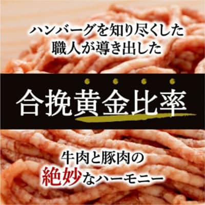 佐賀牛入り特製ハンバーグ(120g×20個)(伊万里市)