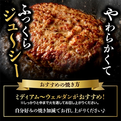 佐賀牛入り特製ハンバーグ(120g×20個)(伊万里市)