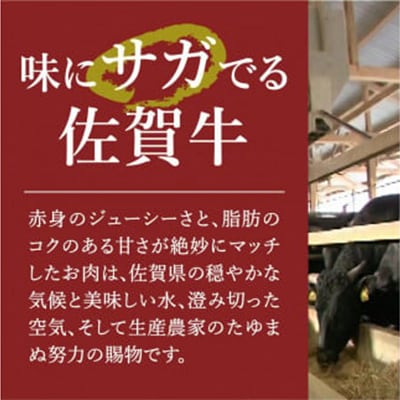 佐賀牛入り特製ハンバーグ(120g×20個)(伊万里市)