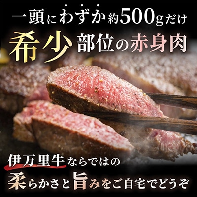 伊万里牛(A5)シャトーブリアン　500g