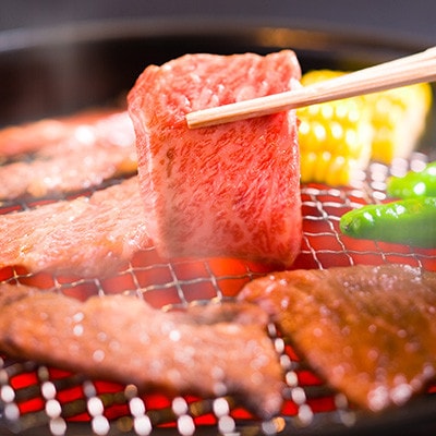 伊万里牛(A5)赤身焼肉　500g
