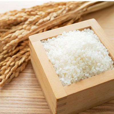 佐賀県産ゆめしずく(特A) 白米4.5kgと玄米5kg