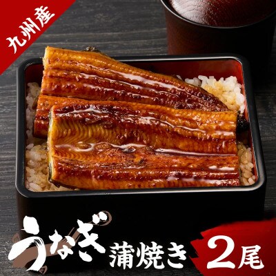 九州産うなぎ蒲焼 2匹(1匹 約240g)