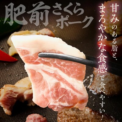 佐賀の恵み 3種焼肉セット(佐賀牛・有田鶏・肥前さくらポーク)計300g