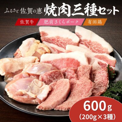 佐賀の恵み 3種焼肉セット(佐賀牛・有田鶏・肥前さくらポーク)計600g