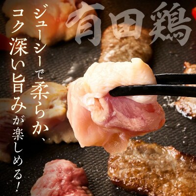 佐賀の恵み 3種焼肉セット(佐賀牛・有田鶏・肥前さくらポーク)計600g