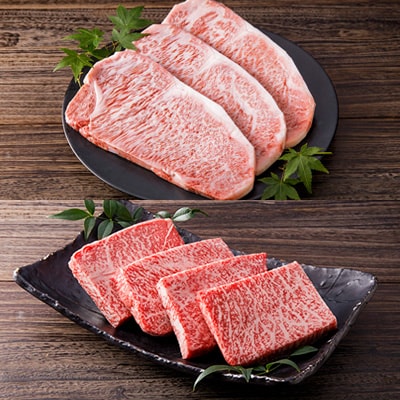 【毎月定期便】伊万里牛　美味組み合わせ全5回