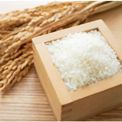 【毎月定期便】佐賀県産ゆめしずく(特A) 白米4.5kg全6回