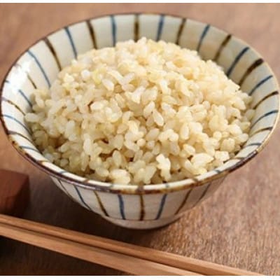 【毎月定期便】佐賀県産ゆめしずく(特A) 玄米5kg全6回