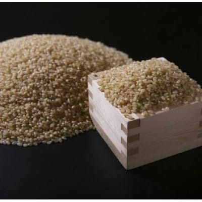 【毎月定期便】佐賀県産ゆめしずく(特A) 玄米5kg全6回