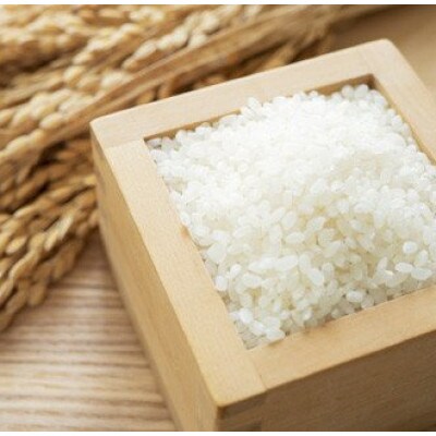 【毎月定期便】伊万里牛サイコロステーキ370gとゆめしずく白米4.5kg全2回