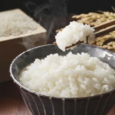 【毎月定期便】伊万里牛サイコロステーキ370gとゆめしずく白米4.5kg全2回