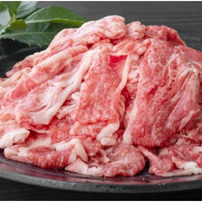 【毎月定期便】伊万里牛 A5 小間切れ500gとゆめしずく 特A 白米4.5kg全2回