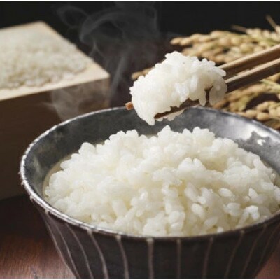 【毎月定期便】伊万里牛 A5 小間切れ500gとゆめしずく 特A 白米4.5kg全2回