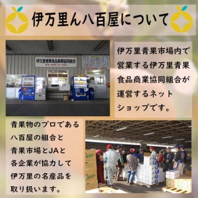 伊万里梨　あきづき2.5kg