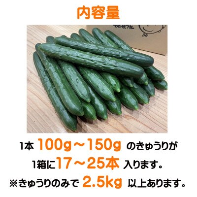 伊万里産　新鮮カリカリ　きゅうり　2.5kg　通年発送