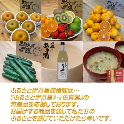 訳あり みかん 佐賀県産 6kg