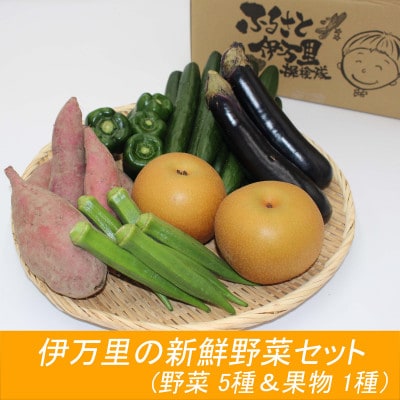 伊万里の新鮮野菜セット【野菜 5種類&フルーツ 1種類】
