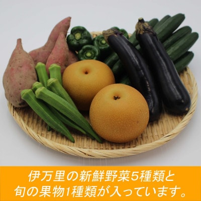 伊万里の新鮮野菜セット【野菜 5種類&フルーツ 1種類】